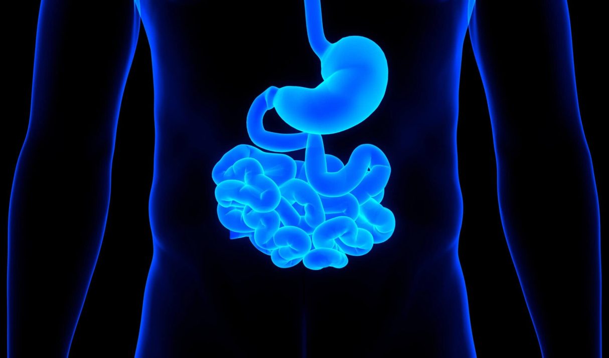 What is “Food Noise” and How Do Peptides Actually Quiet It?